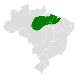 Distribución geográfica del cotinga coliblanco.