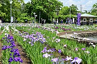 油ヶ淵水辺公園・自然ふれあい生態園