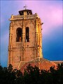 Torre campanario. Con sus 5 siglos de vida, continúa siendo el edificio más alto de la ciudad de Orihuela.