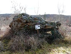 Le dolmen de Fouret