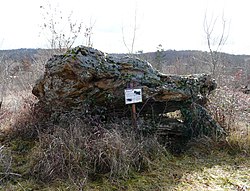 Image illustrative de l’article Dolmen de Peyrelevade (Condat-sur-Trincou)