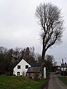 Naturdenkmal Esche Schlossthal