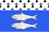 Flag of Binic