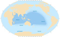 A espécie R. rapa (Linnaeus, 1758) ocupa o Indo-Pacífico; indo desde KwaZulu-Natal à Tanzânia, na África Oriental[2], até o norte da Austrália[3] e Nova Caledônia.[4]