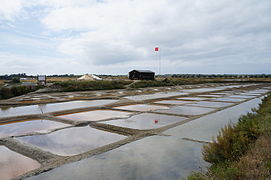 Les marais salants.