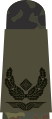 b.Major (flecktarn uniform – Luftwaffe)