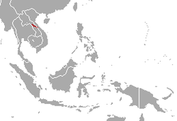 Distribución de H. megalotis