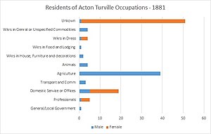 Occupation Statistics of Residents in Acton Turville dated in 1881. This shows both the occupations of male and female residents in a number of professions.