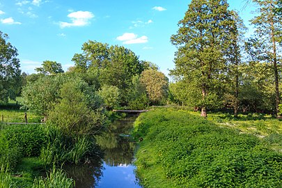 Zone naturelle de Bystřice.