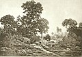 Paysage avec étang. Théodore Rousseau, nd., H. 24 cm. Photo avant noircissement (1886). École de Barbizon.