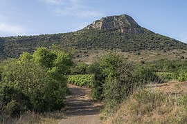 Un chemin, des vignes et le Pic de Vissou (480 m) à Cabrières.