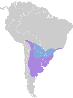 Distribución geográfica de la tangara naranjera.