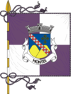 Bandeira de Montes