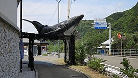 道の駅キラメッセ室戸