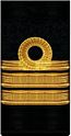 нарукавный знак флота 1917