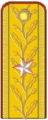 Румыния: General de brigadă