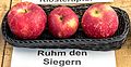 Ruhm den Siegern