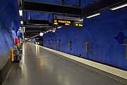 Blue Line Platform