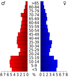 Schéma représentant la population du comté, par tranche d'âge. En rouge, à gauche, les femmes, en bleu à droite, les hommes.