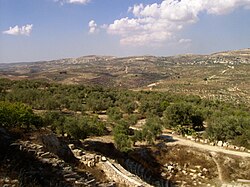 Hills near the ruins of Samaria
