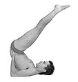 Viparita karanyasana