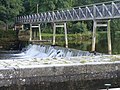 L'écluse du Rouvray et sa passerelle.