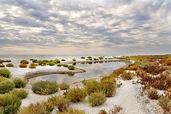 The Kinburn Spit in autumn