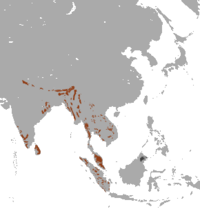 Distribución do elefante asiático (marrón — nativo, negro — orixe incerta)