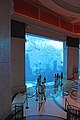 Hotel aquarium
