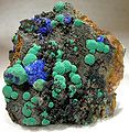 Malachite et azurite ; la mine de Morenci fournit quelques-uns des plus beaux spécimens de collection.