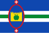 Flag of Villalengua