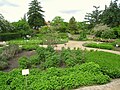 ベルリン＝ダーレム植物園（ベルリン）