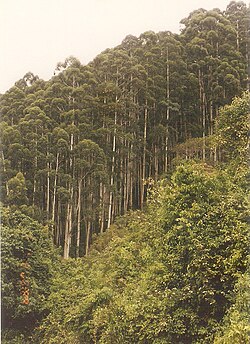 Skyline of चामराजनगरमण्डलम्