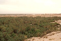 The original oasis of Nefta is known as "the basket" as it is located down the hills