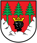 Wappen des Marktes Mittenwald