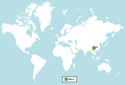 Distribución del Citrus polytrifolia