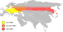 EurAsia TBE-belt.svg