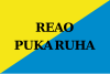 Flag of Reao