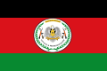 Flag of the South Sudan People's Defence Forces[a] (2011-present)