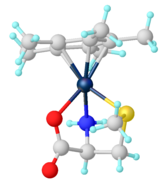 [Cp*Ir(κ3-methionine)]+[4]