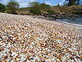 Plage de Hanapepe à Hawaï