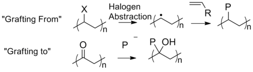 Schematic of graft polymerizations