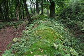 Wall Kleiner Hünenring (links der Innenbereich der Wallanlage)