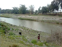 কবির বাড়ির সামনে কুমার নদ