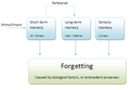 Figure1: Stage Theory