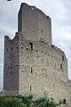 Château de l'Ortenbourg ruines