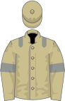 Beige, grey epaulets and armlets