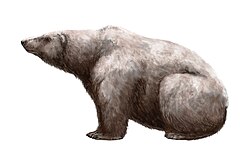 Description de l'image Ursus maritimus tyrannus.jpg.