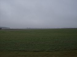 Winter wheat field in Wabash Township