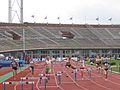 Image 13A women's 400 m hurdles race at the 2007 Dutch Championships (from Track and field)